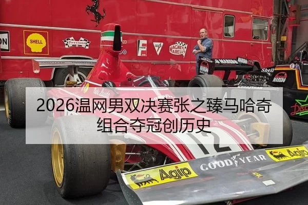 wen-wang-nan-shuang-jue-sai-zhang-zhi-zhen-ma-ha-qi-zu-he-duo-guan-chuang-li-shi-1-465.jpg